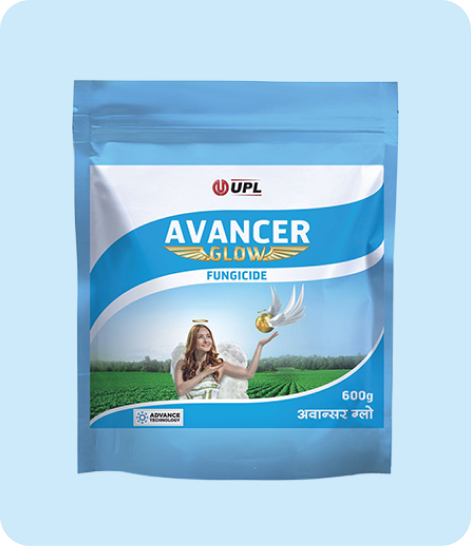 UPL-AVANCER GLOW-Crop Protection,Fungicide