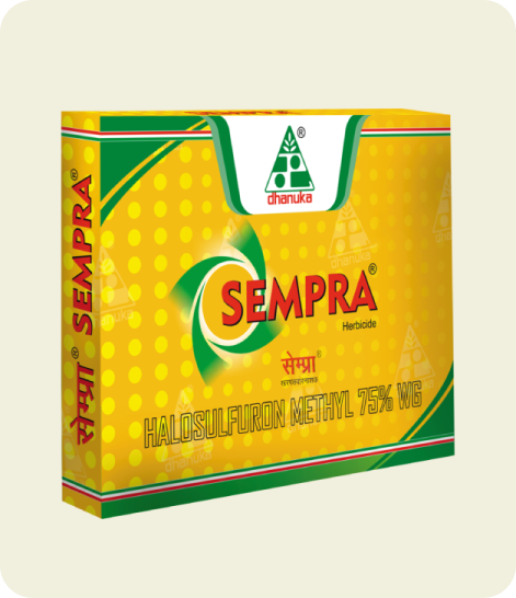 Dhanuka-Sempra-Crop Protection,Herbicide