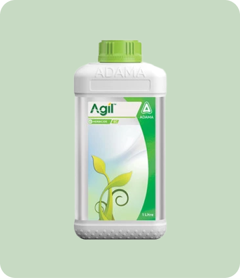 Adama-Agil-Crop Protection,Herbicide