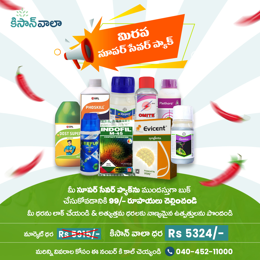 Kisanwala-Chilli Super Saver Pack -1