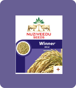 Nuziweedu-Winner NPH 567-Seeds,Field Crops,Paddy